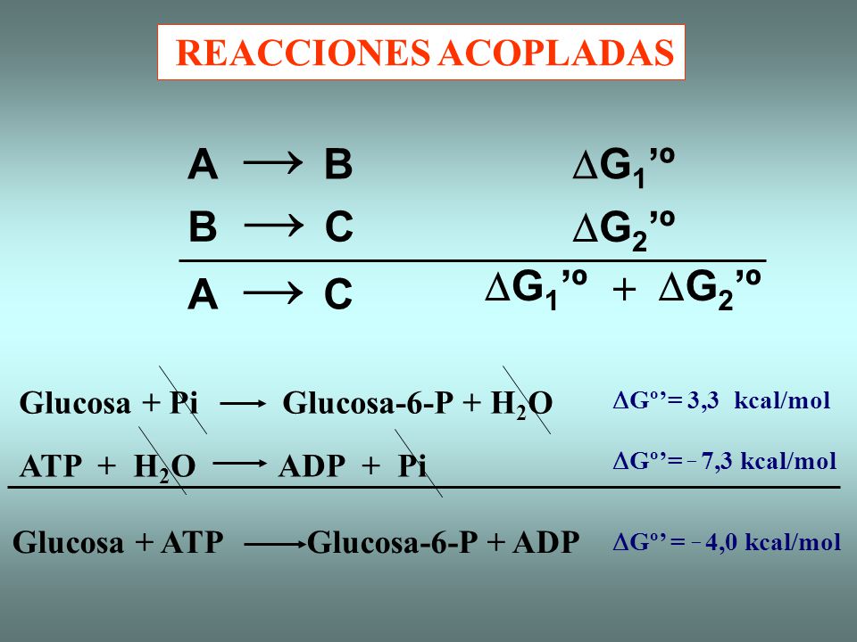 A → B DG1’º B → C DG2’º A → C DG1’º + DG2’º REACCIONES ACOPLADAS