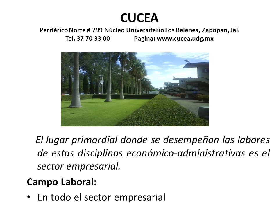 CUCEA Periférico Norte # 799 Núcleo Universitario Los Belenes, Zapopan, Jal. Tel Pagina: