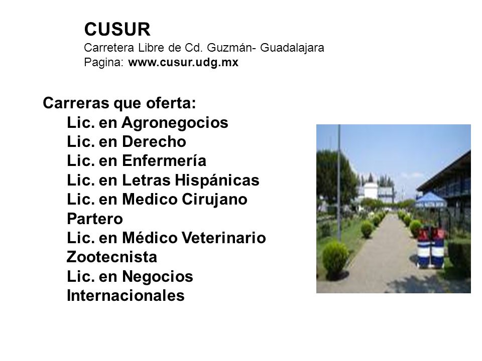 CUSUR Carretera Libre de Cd. Guzmán- Guadalajara Pagina: www. cusur
