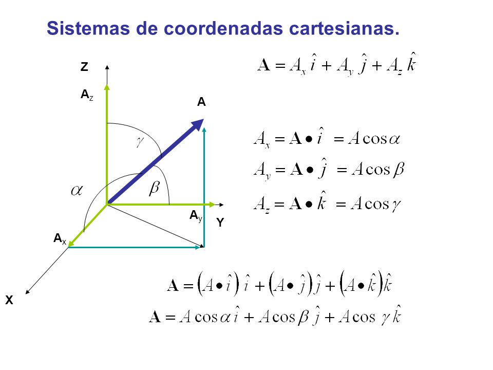 Sistemas de coordenadas cartesianas.