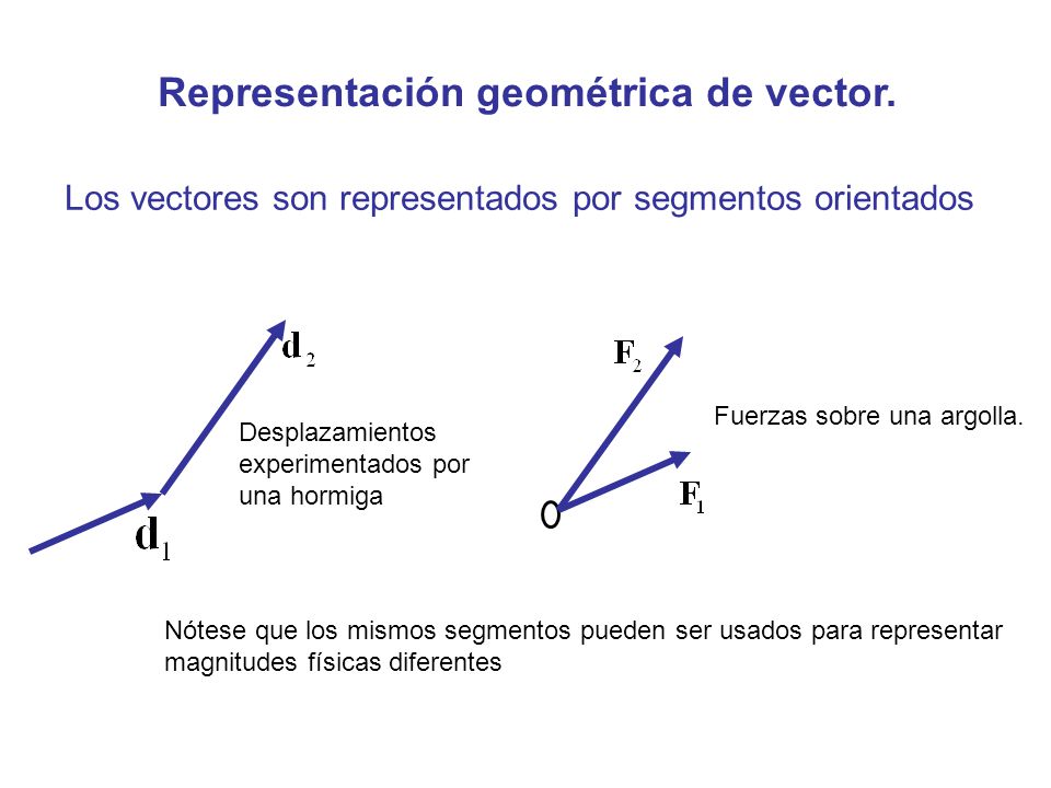 Representación geométrica de vector.