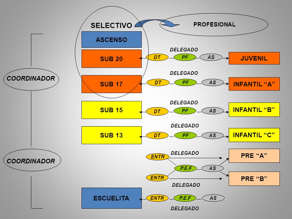 SELECTIVO ASCENSO SUB 20 JUVENIL COORDINADOR SUB 17 INFANTIL A