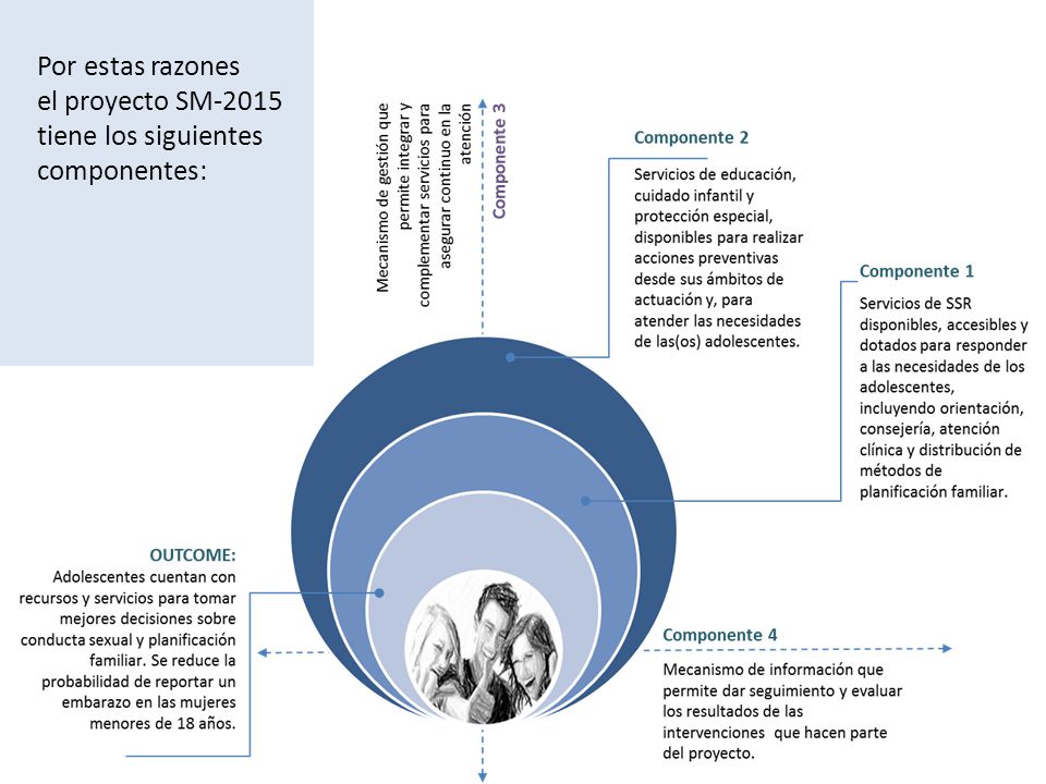 Por estas razones el proyecto SM-2015 tiene los siguientes componentes: