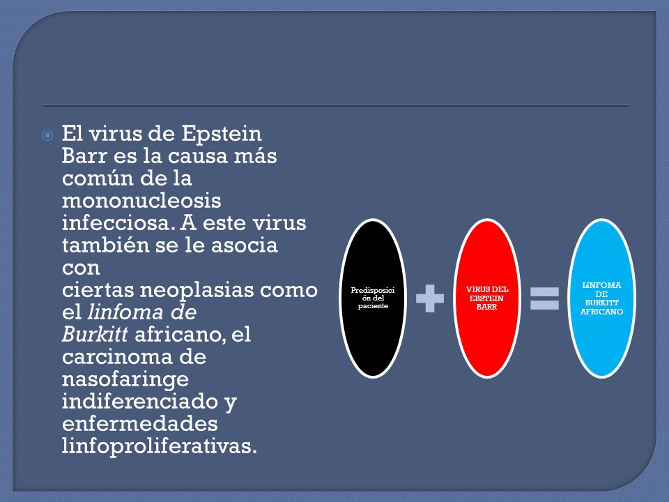 El virus de Epstein Barr es la causa más común de la mononucleosis infecciosa. A este virus también se le asocia con ciertas neoplasias como el linfoma de Burkitt africano, el carcinoma de nasofaringe indiferenciado y enfermedades linfoproliferativas.