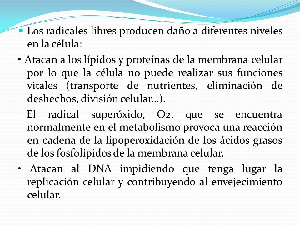 Los radicales libres producen daño a diferentes niveles en la célula: