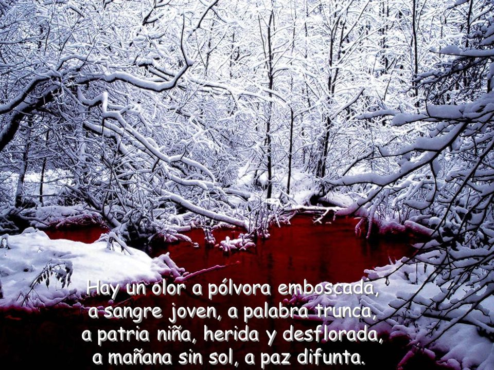 Hay un olor a pólvora emboscada, a sangre joven, a palabra trunca,