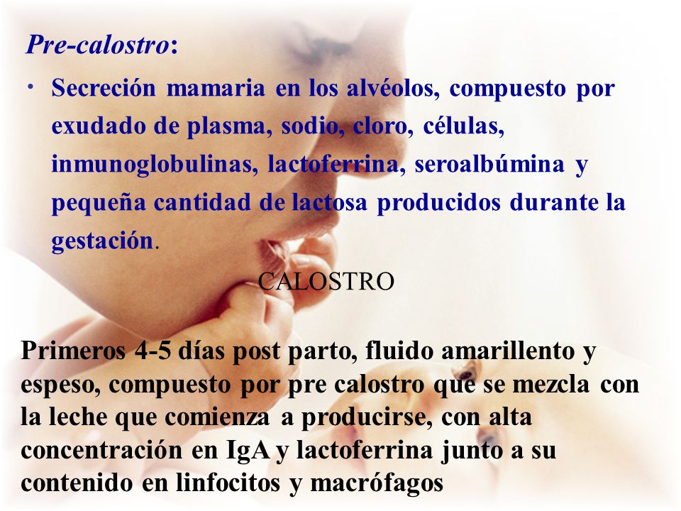 Pre-calostro: