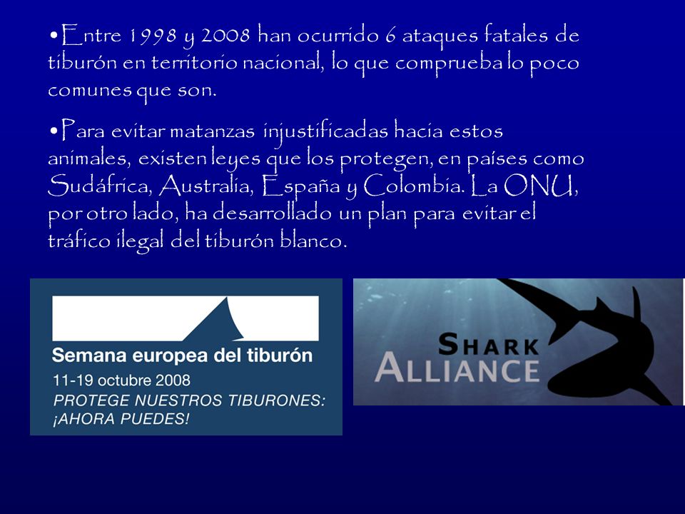 Entre 1998 y 2008 han ocurrido 6 ataques fatales de tiburón en territorio nacional, lo que comprueba lo poco comunes que son.