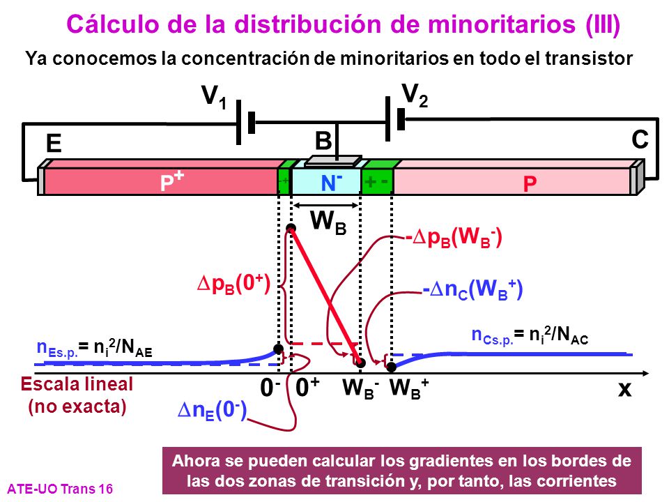 Ya conocemos la concentración de minoritarios en todo el transistor