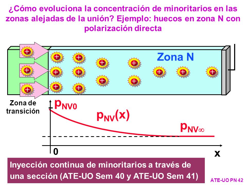 ¿Cómo evoluciona la concentración de minoritarios en las zonas alejadas de la unión Ejemplo: huecos en zona N con polarización directa