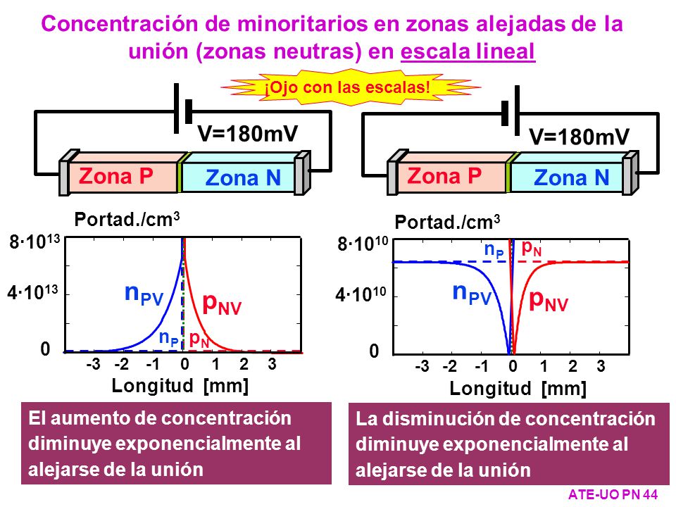 Concentración de minoritarios en zonas alejadas de la unión (zonas neutras) en escala lineal