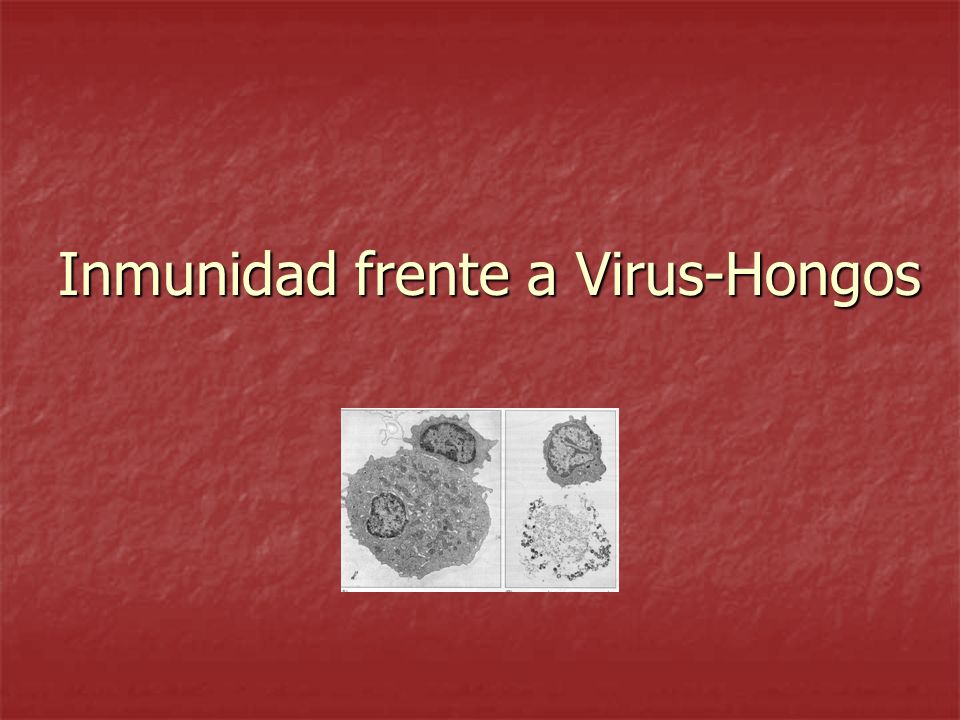 Inmunidad frente a Virus-Hongos