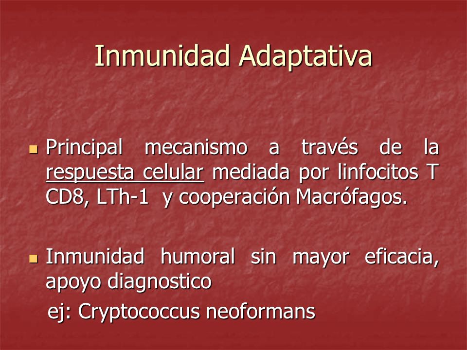 Inmunidad Adaptativa Principal mecanismo a través de la respuesta celular mediada por linfocitos T CD8, LTh-1 y cooperación Macrófagos.