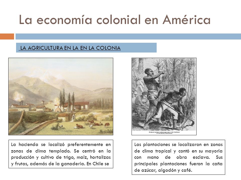 La economía colonial en América