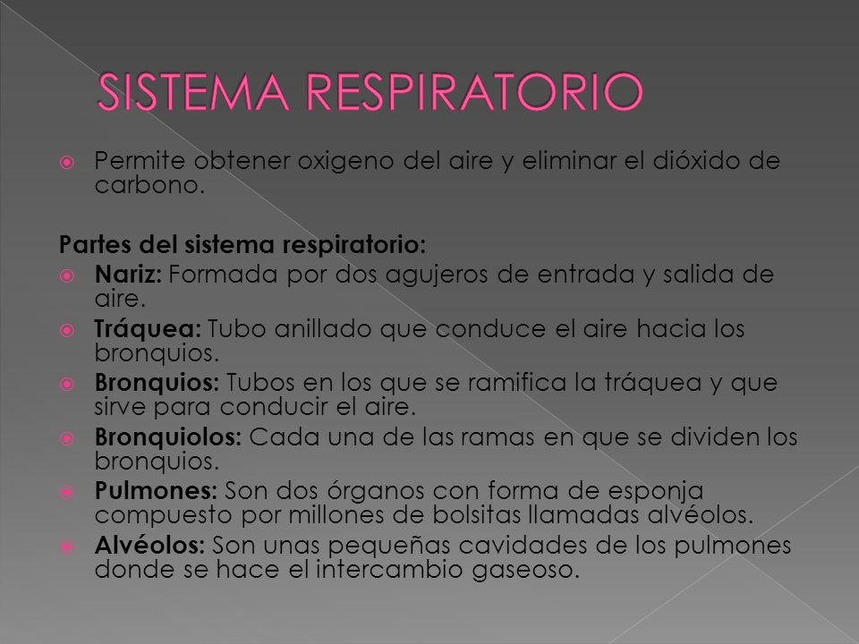 SISTEMA RESPIRATORIO Permite obtener oxigeno del aire y eliminar el dióxido de carbono. Partes del sistema respiratorio: