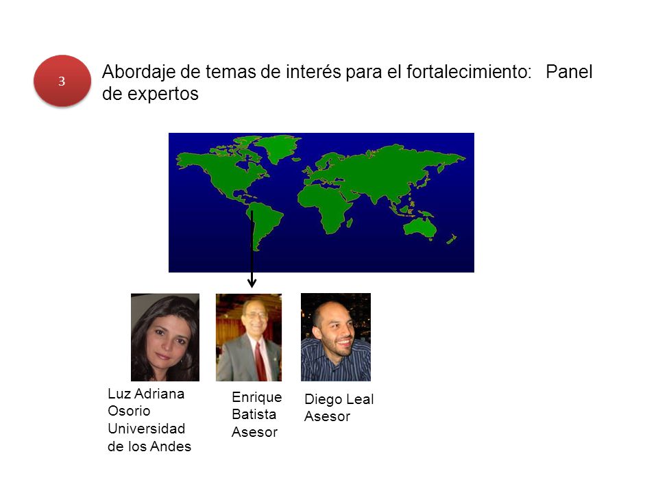 3 Abordaje de temas de interés para el fortalecimiento: Panel de expertos. Luz Adriana Osorio. Universidad de los Andes.