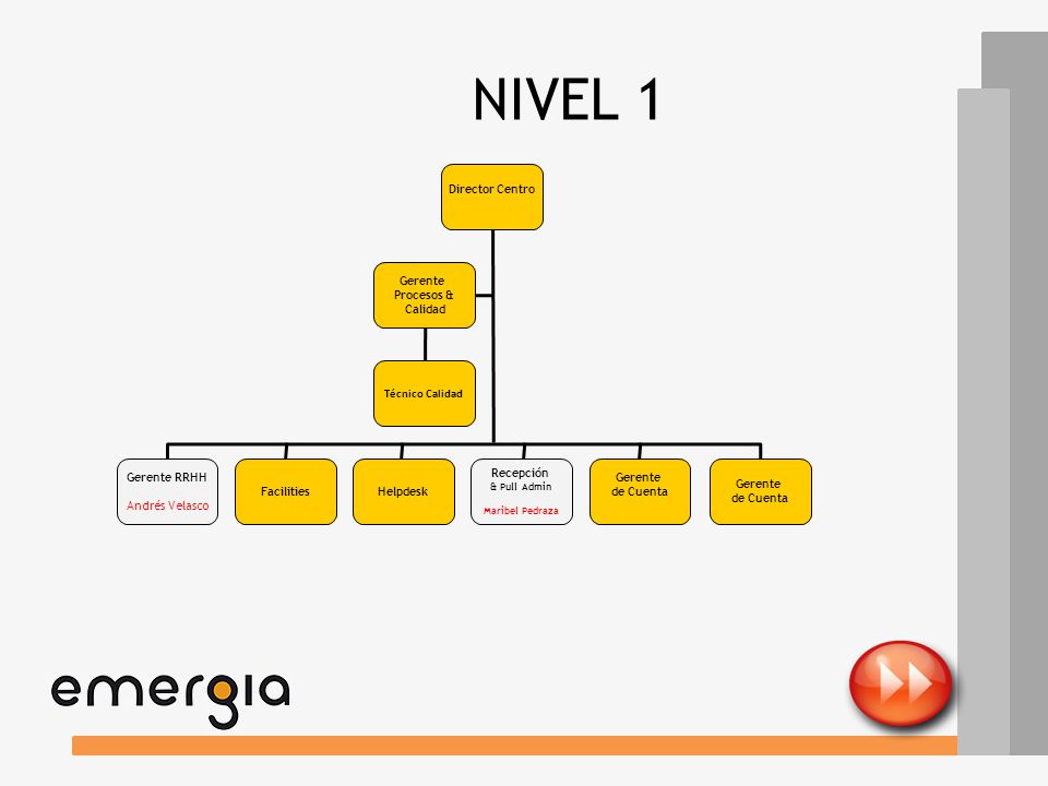 NIVEL 1 Director Centro Gerente Procesos & Calidad Técnico Calidad