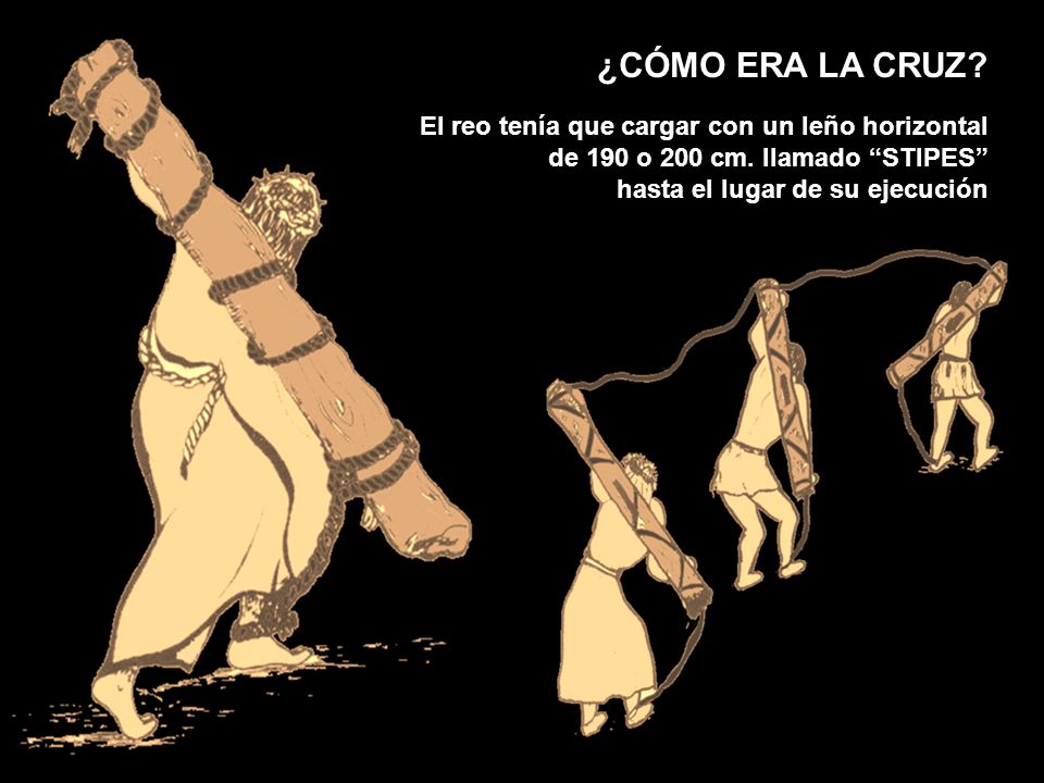 ¿CÓMO ERA LA CRUZ El reo tenía que cargar con un leño horizontal