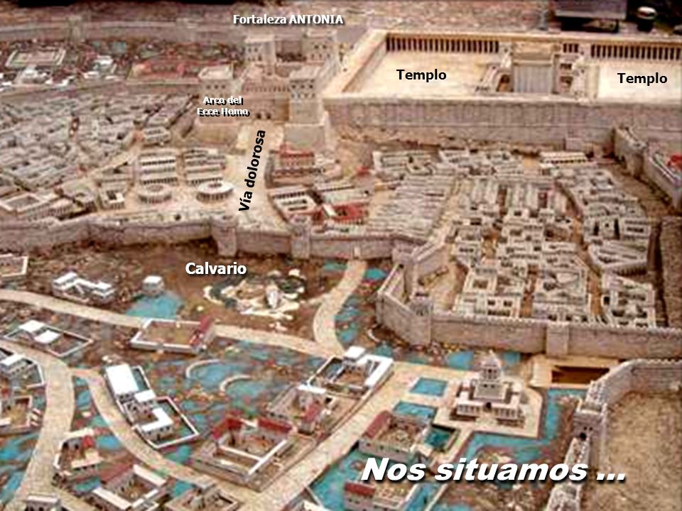 Nos situamos … Calvario Templo Templo Vía dolorosa Fortaleza ANTONIA