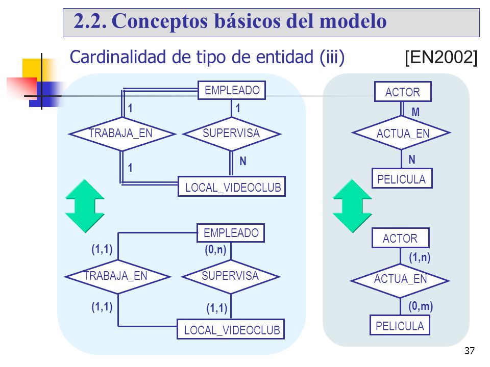 Cardinalidad de tipo de entidad (iii) [EN2002]