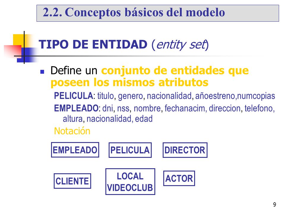 TIPO DE ENTIDAD (entity set)