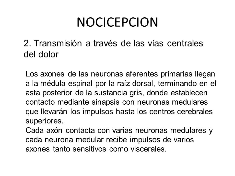 NOCICEPCION 2. Transmisión a través de las vías centrales del dolor