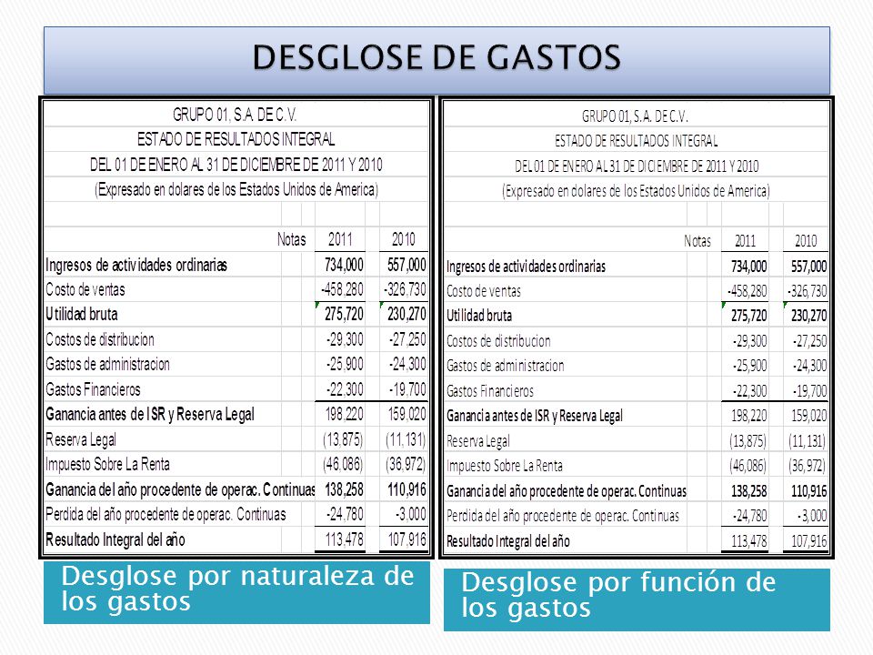 DESGLOSE DE GASTOS Desglose por naturaleza de los gastos