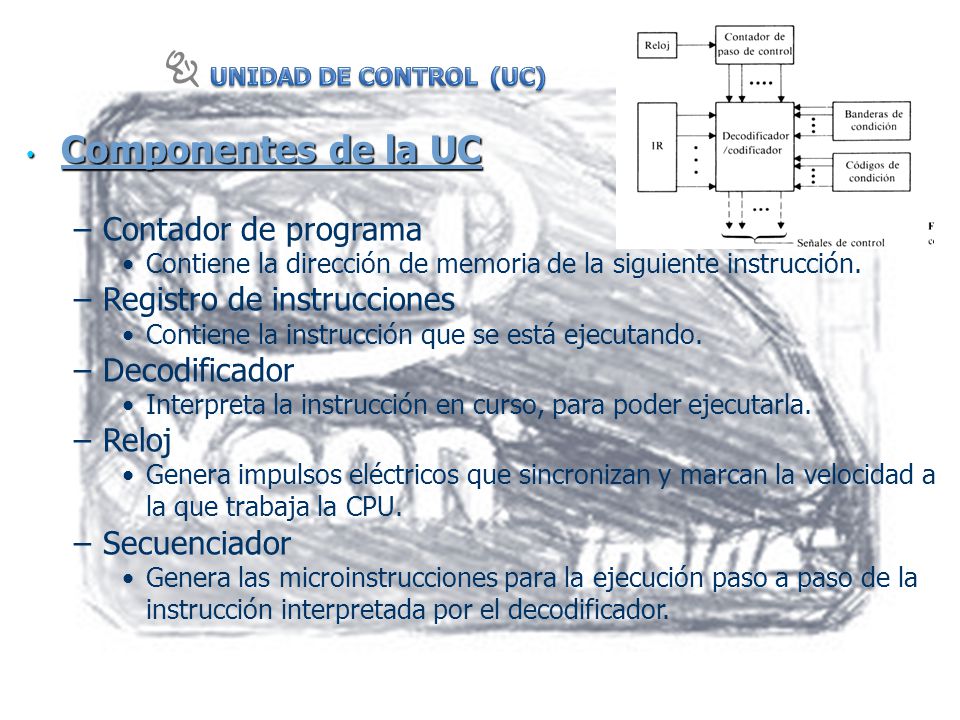Componentes de la UC Contador de programa Registro de instrucciones