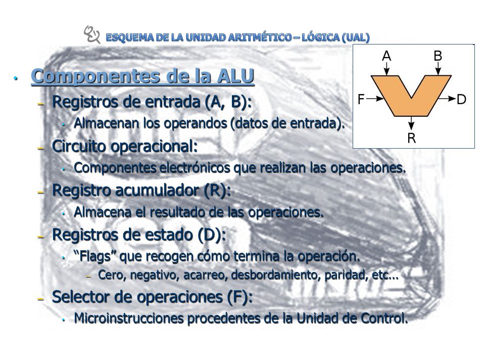 Componentes de la ALU Registros de entrada (A, B):