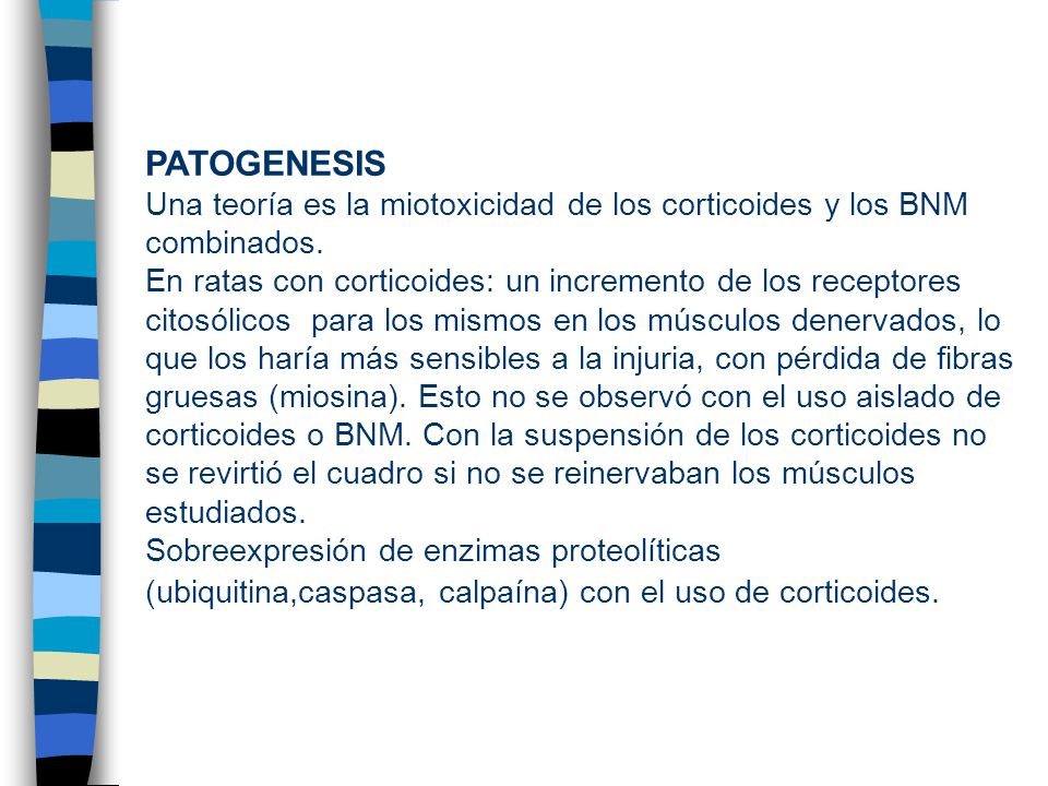 PATOGENESIS Una teoría es la miotoxicidad de los corticoides y los BNM combinados.