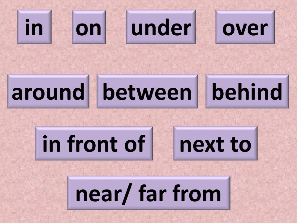 in on under over around between behind in front of next to near/ far from