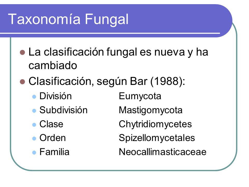 Taxonomía Fungal La clasificación fungal es nueva y ha cambiado