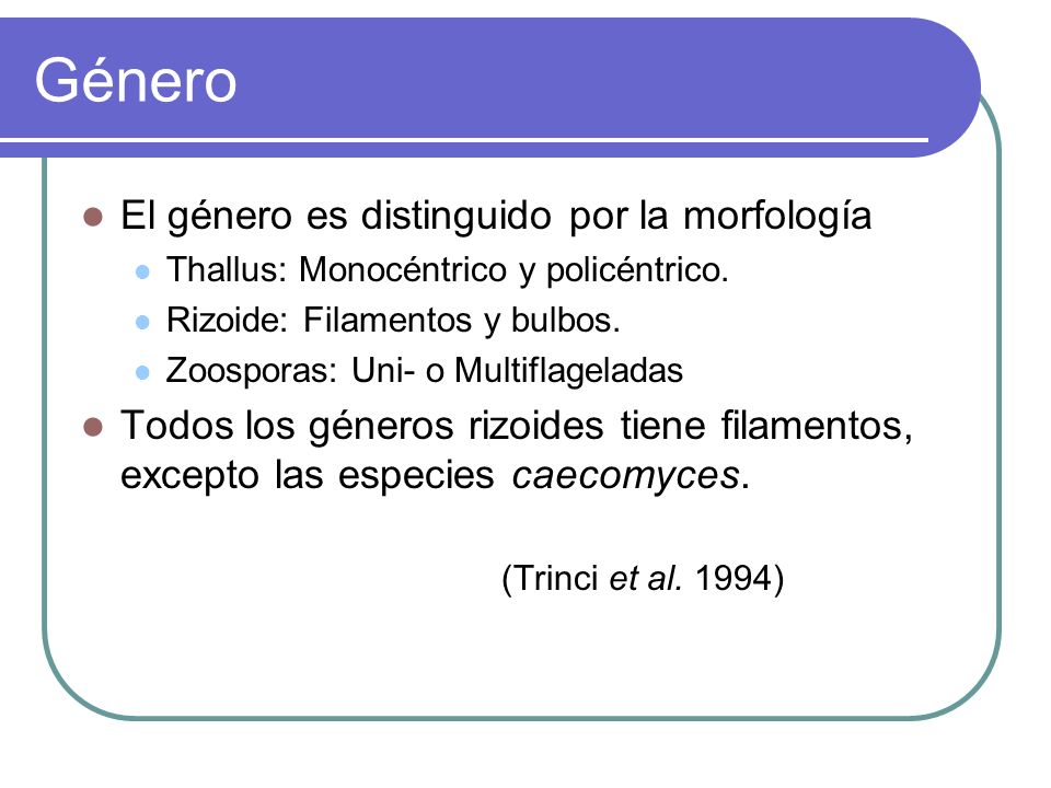 Género El género es distinguido por la morfología