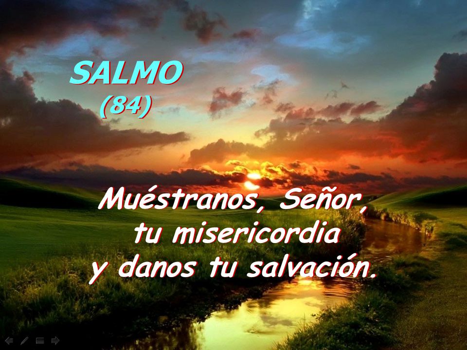 SALMO (84) Muéstranos, Señor, tu misericordia y danos tu salvación.