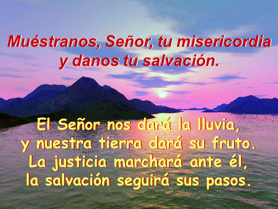 Muéstranos, Señor, tu misericordia y danos tu salvación.