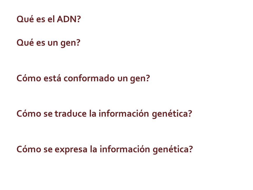 Qué es el ADN Qué es un gen Cómo está conformado un gen Cómo se traduce la información genética