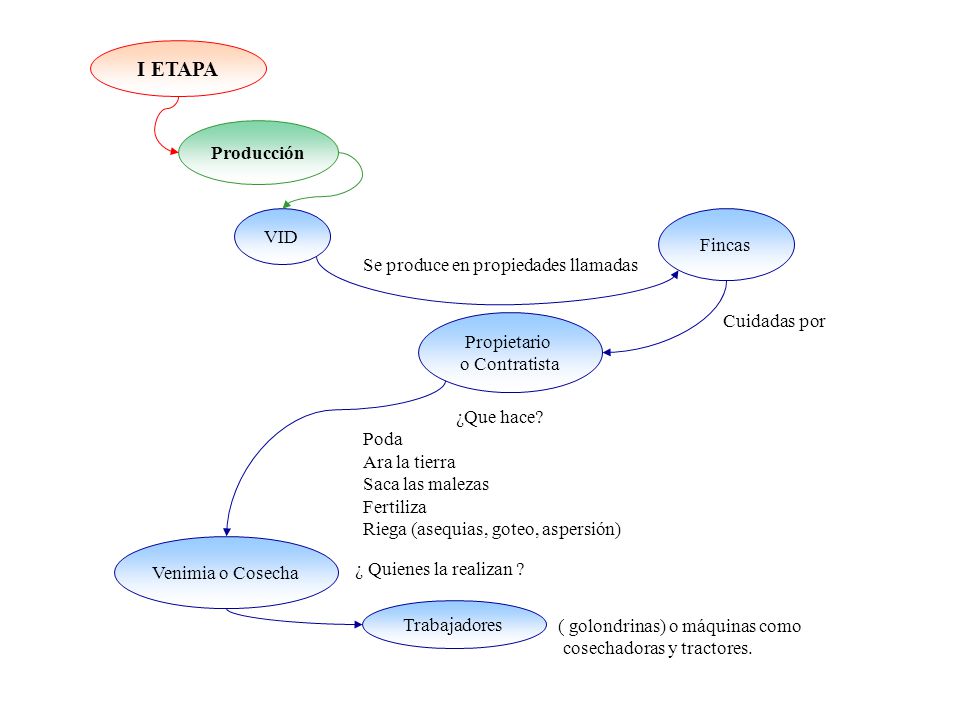 I ETAPA Producción VID Fincas Se produce en propiedades llamadas