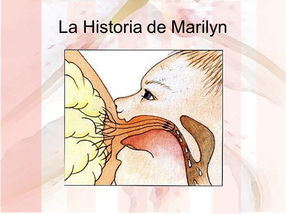 La Historia de Marilyn Marilyn studied for 6 months to become a lactation therapist.
