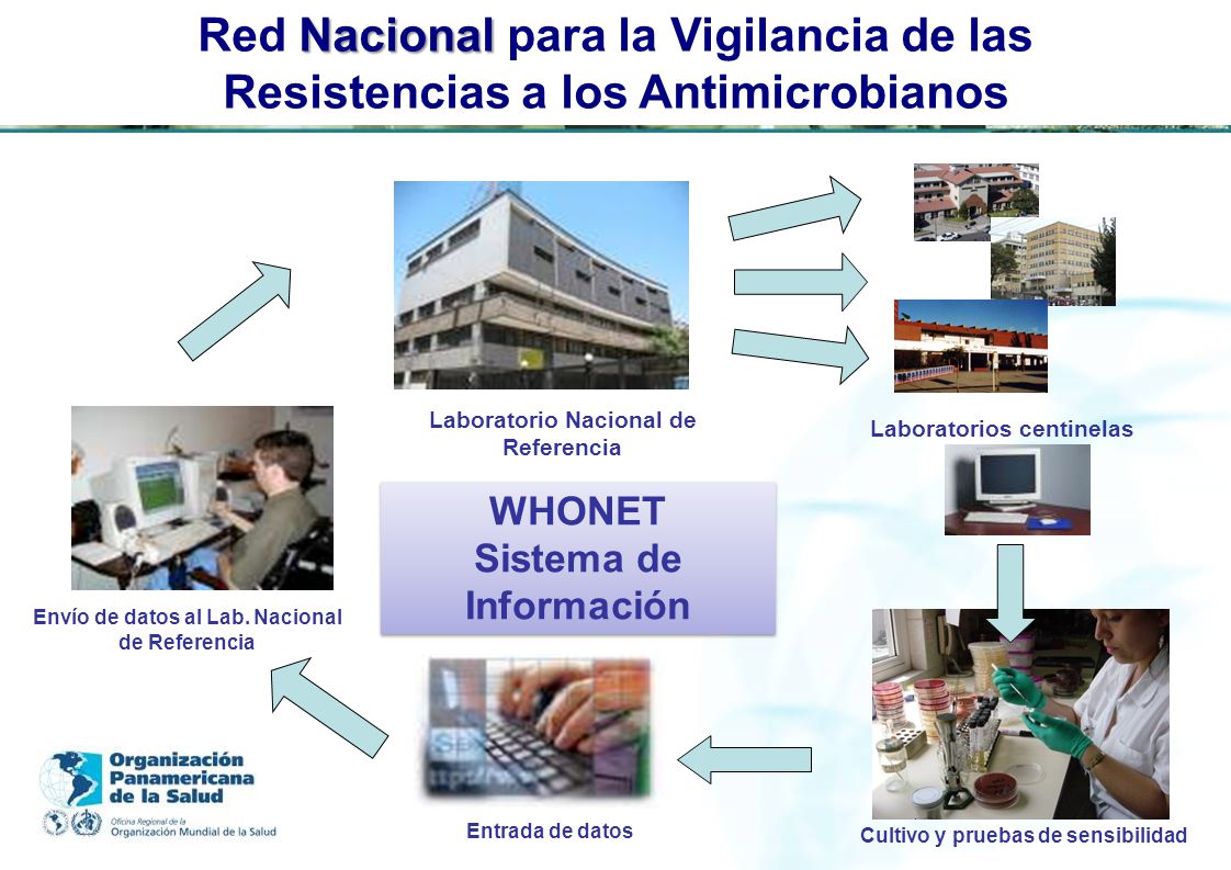 Red Nacional para la Vigilancia de las Resistencias a los Antimicrobianos