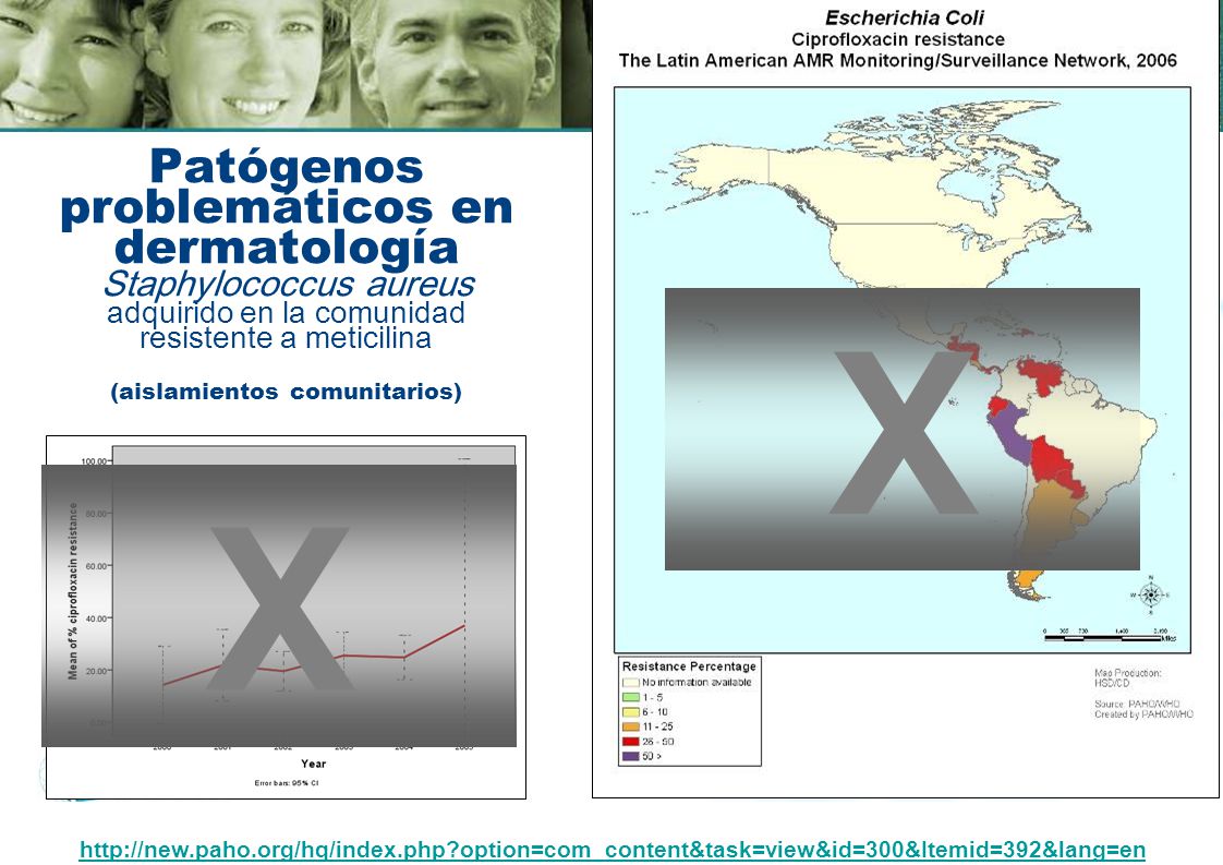 Patógenos problemáticos en dermatología Staphylococcus aureus adquirido en la comunidad resistente a meticilina (aislamientos comunitarios)