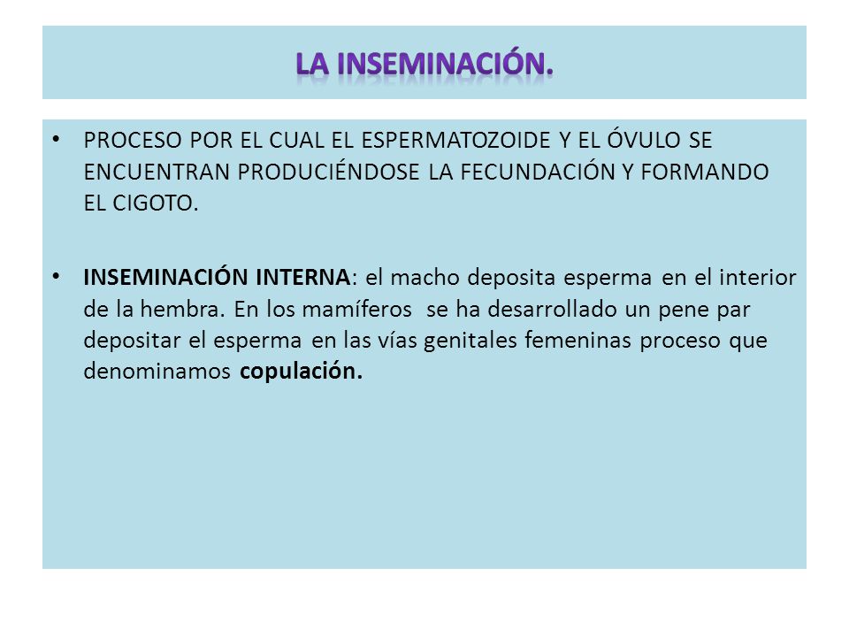 LA INSEMINACIÓN. PROCESO POR EL CUAL EL ESPERMATOZOIDE Y EL ÓVULO SE ENCUENTRAN PRODUCIÉNDOSE LA FECUNDACIÓN Y FORMANDO EL CIGOTO.