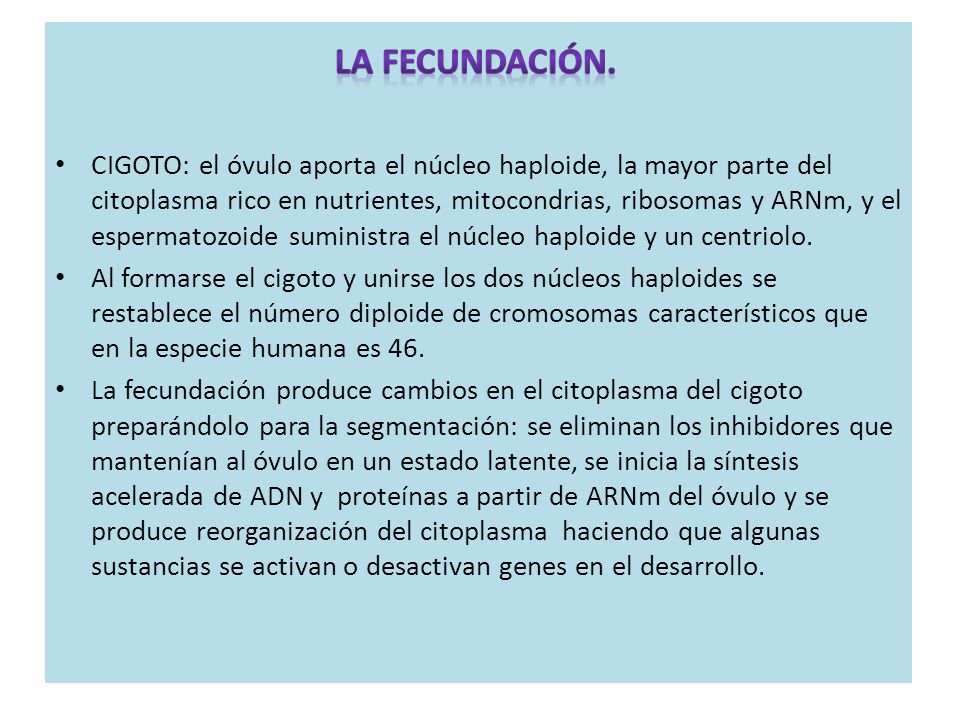 LA FECUNDACIÓN. ES LA UNIÓN DEL ÓVULO Y EL ESPERMATOZOIDE ORIGINANDO UN CIGOTO.