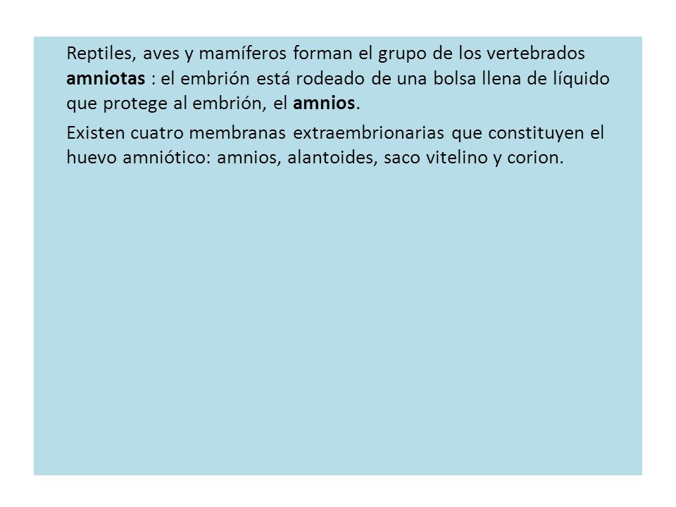 Reptiles, aves y mamíferos forman el grupo de los vertebrados amniotas : el embrión está rodeado de una bolsa llena de líquido que protege al embrión, el amnios.
