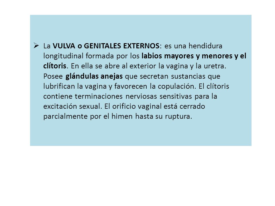La VULVA o GENITALES EXTERNOS: es una hendidura longitudinal formada por los labios mayores y menores y el clítoris.