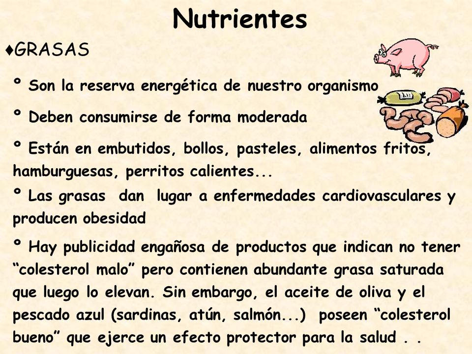 Nutrientes ♦GRASAS º Son la reserva energética de nuestro organismo