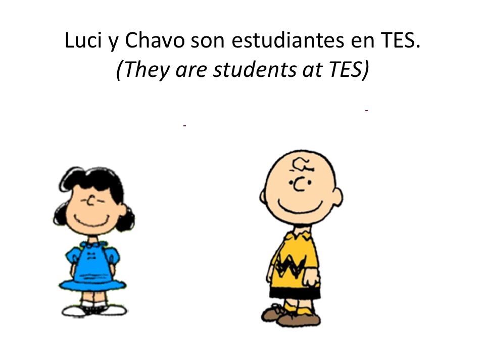 Luci y Chavo son estudiantes en TES. (They are students at TES)