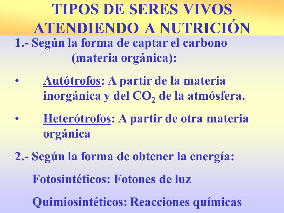 TIPOS DE SERES VIVOS ATENDIENDO A NUTRICIÓN