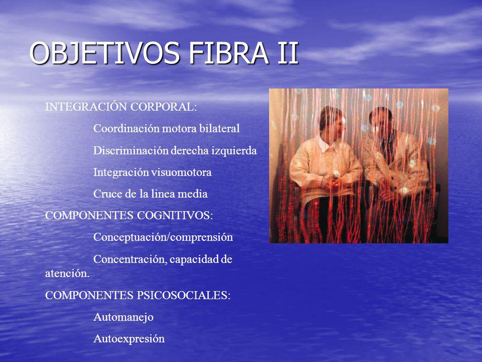 OBJETIVOS FIBRA II INTEGRACIÓN CORPORAL: Coordinación motora bilateral