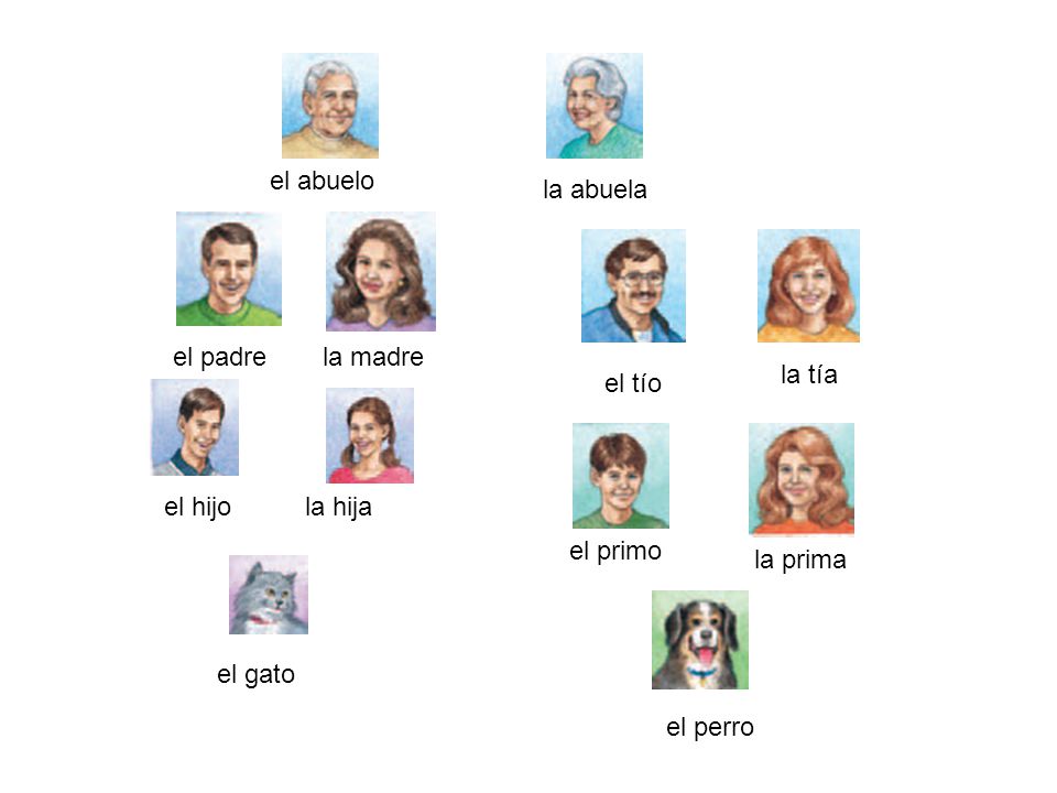 el abuelo la abuela. el padre. la madre. la tía. el tío. el hijo. la hija. el primo. la prima.