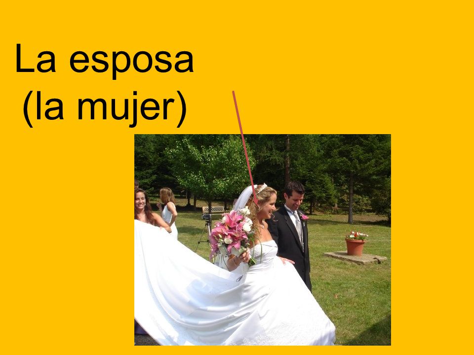 La esposa (la mujer)